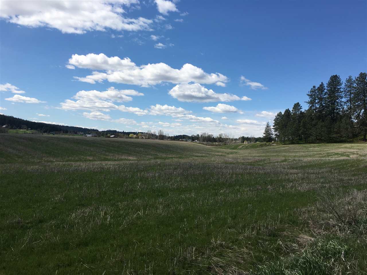 8700 East Big Meadows Road, Unit PARCEL A Colbert, WA 99005 - Photo 7 of 13