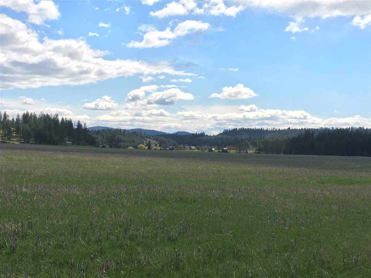 8700 East Big Meadows Road, Unit PARCEL A Colbert, WA 99005 - Photo 8 of 13