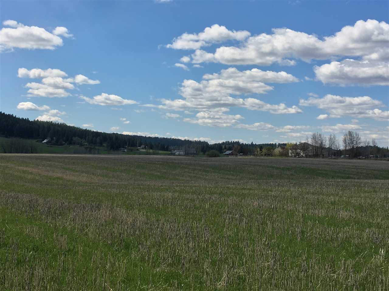 8700 East Big Meadows Road, Unit PARCEL A Colbert, WA 99005 - Photo 9 of 13