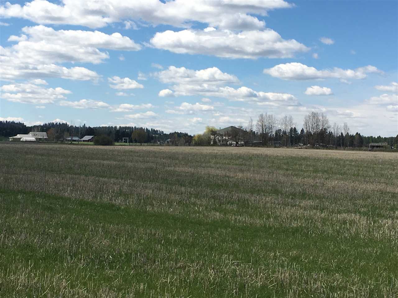 8700 East Big Meadows Road, Unit PARCEL A Colbert, WA 99005 - Photo 10 of 13