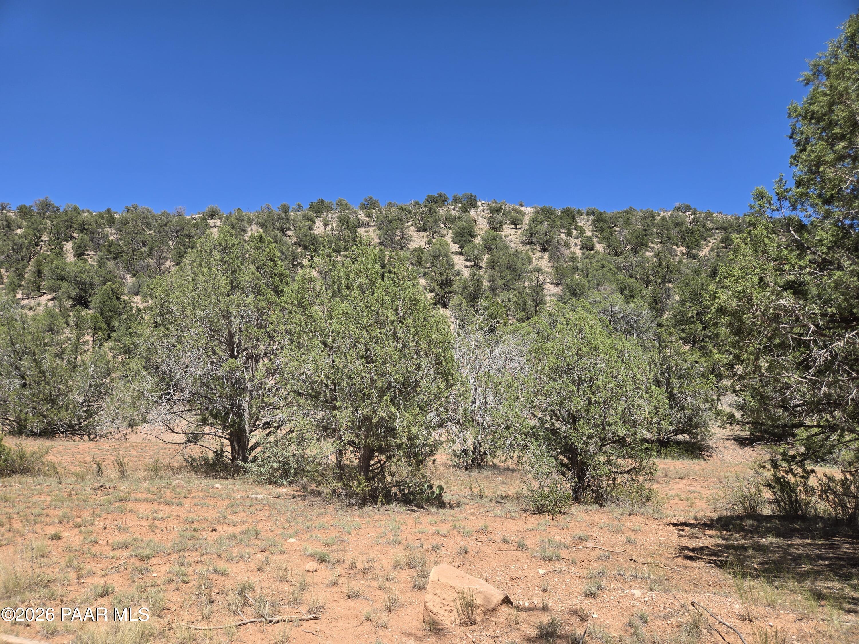 Lot 124 South Arizona Road Ash Fork, AZ 86320 - Photo 4 of 9 20260629_141741