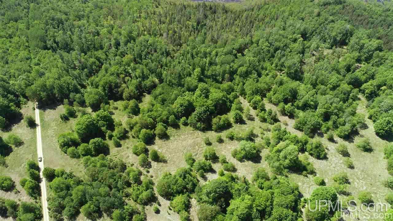 Tbd Tee Lake Road, Unit PARCEL 4 Germfask, MI 49836 - Photo 3 of 3
