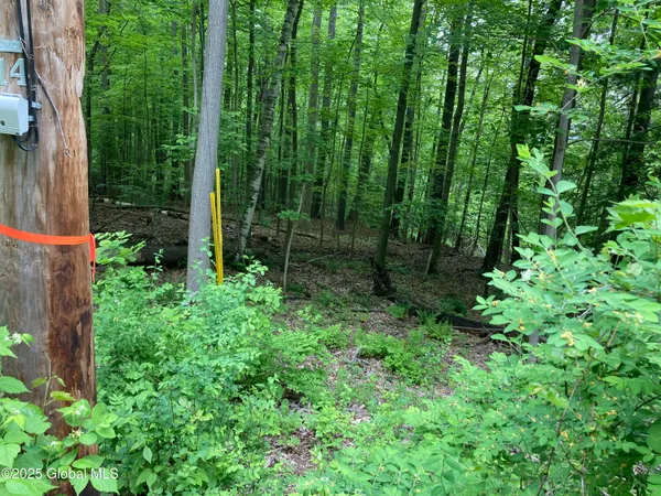 $107,000 | L3 Pine Springs Drive, Ticonderoga, NY 12883