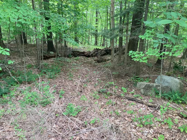 $107,000 | L3 Pine Springs Drive, Ticonderoga, NY 12883
