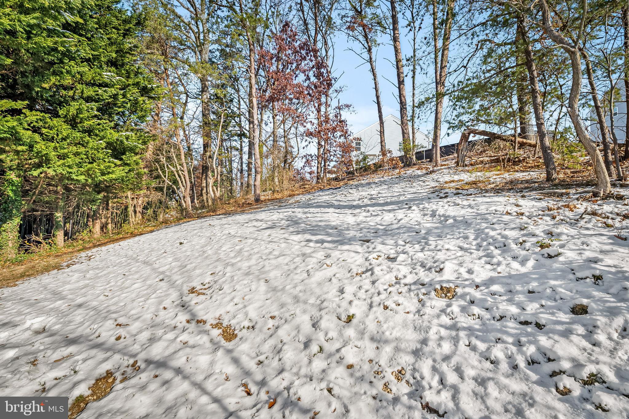 4222 Klosterman Avenue Nottingham, MD 21236 - Photo 39 of 43 a view of road and trees