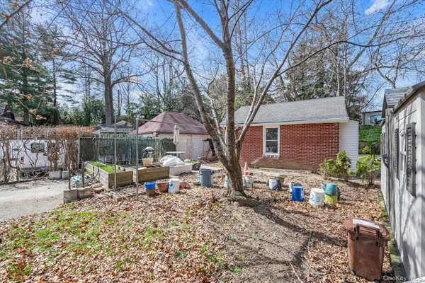 a view of backyard with table and chairs potted plants and a large tree
