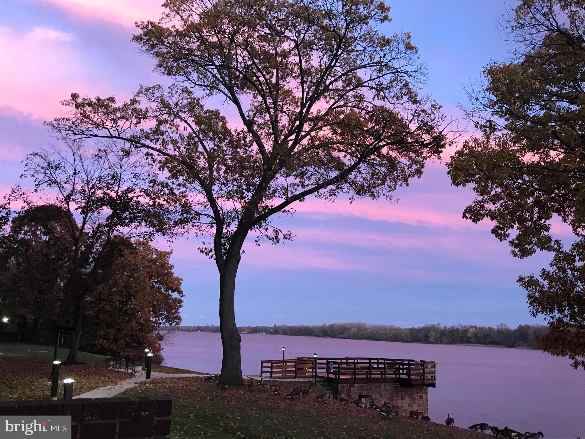 5100 Convent Lane, Unit 101 Philadelphia, PA 19114 - Photo 10 of 13