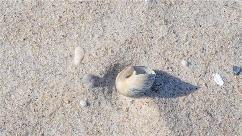 $5,850,000 | 825 Dune Road, Westhampton Beach, NY 11978