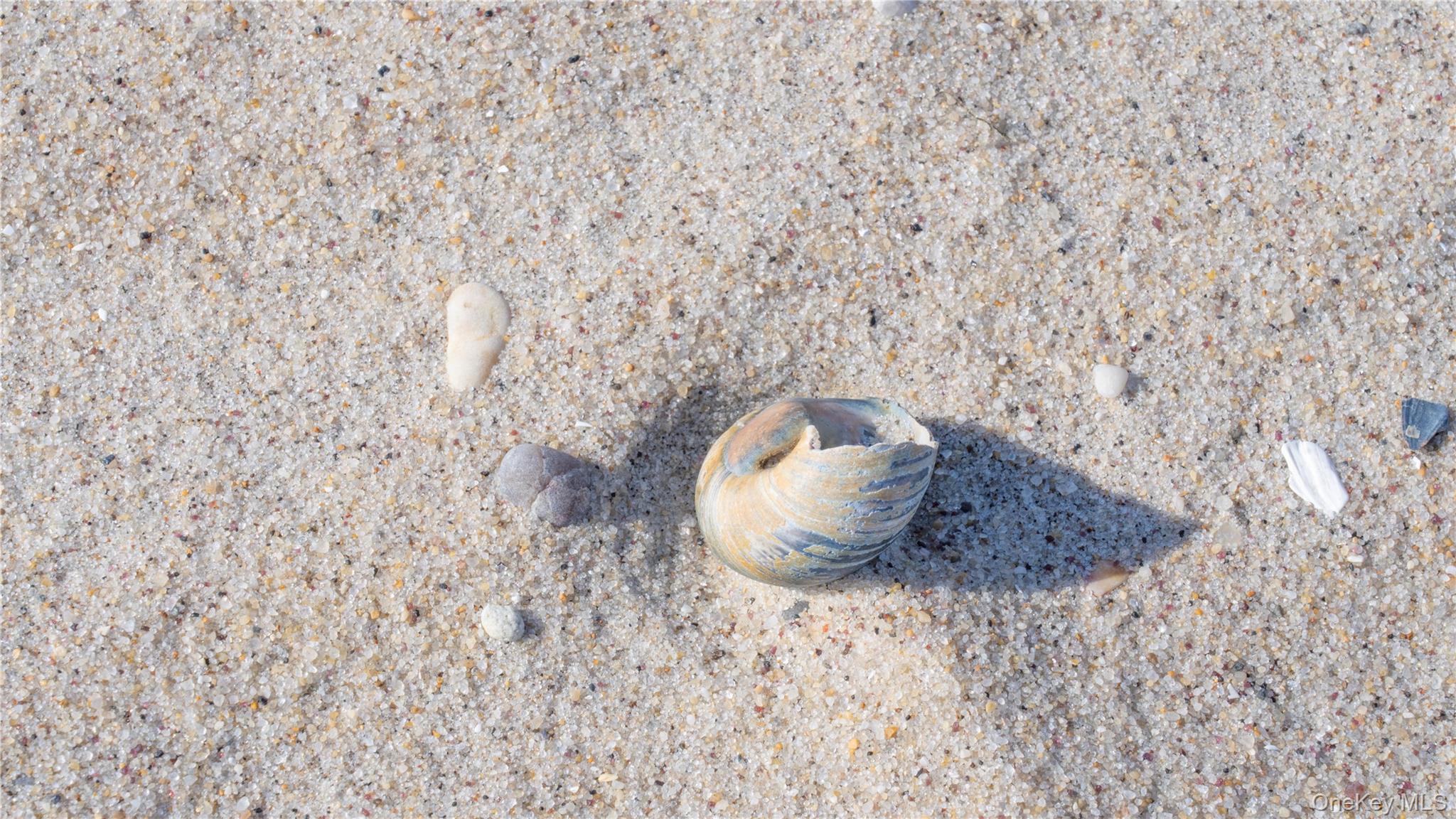 825 Dune Road Westhampton Beach, NY 11978 - Photo 48 of 50 a close up of a white marble wall