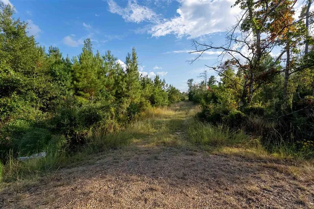 $535,000 | 109 Hwy Singer La, Singer, LA 70660