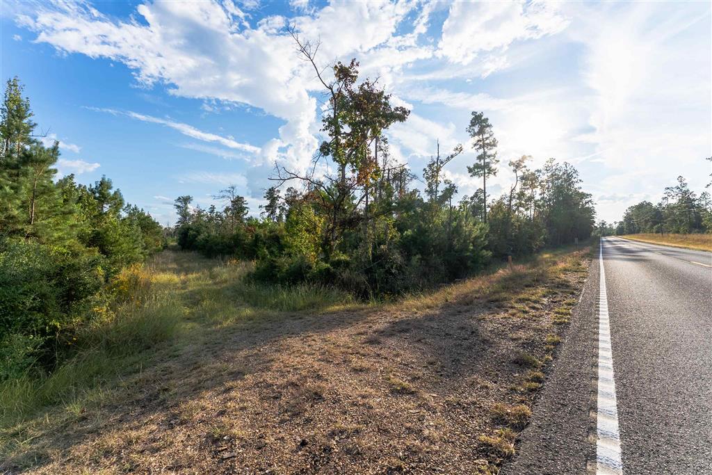 109 Hwy Singer La Singer, LA 70660 - Photo 4 of 17