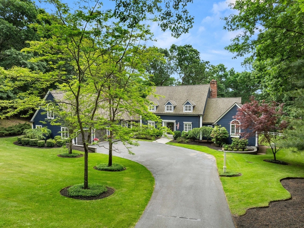 a swimming pool with garden view