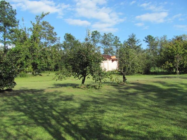 207 Reedy Creek Road Jackson, AL 36545 - Photo 18 of 18