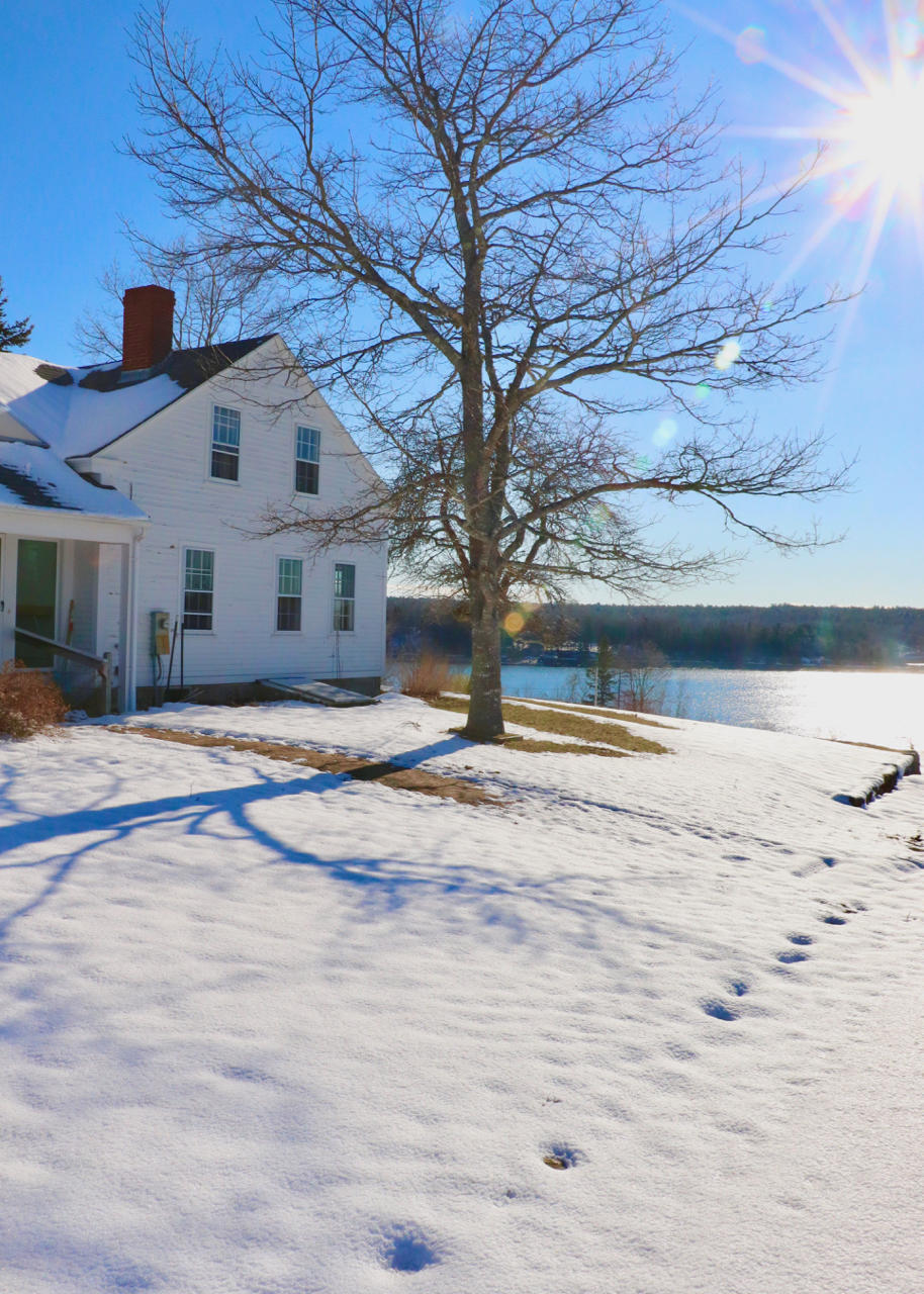 87 Carter Point Road Sedgwick, ME 04676 - Photo 2 of 38 IMG_6722
