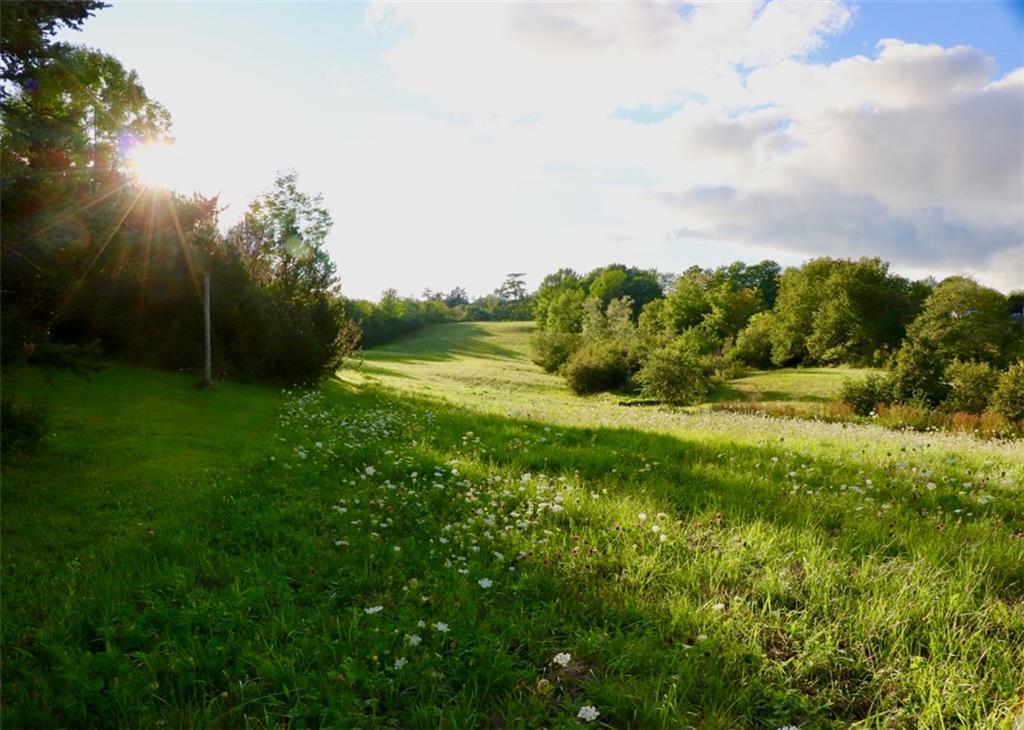 87 Carter Point Road Sedgwick, ME 04676 - Photo 28 of 38 Meadow