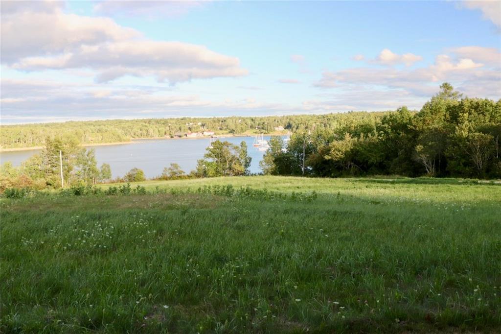 87 Carter Point Road Sedgwick, ME 04676 - Photo 4 of 38 Meadow to water