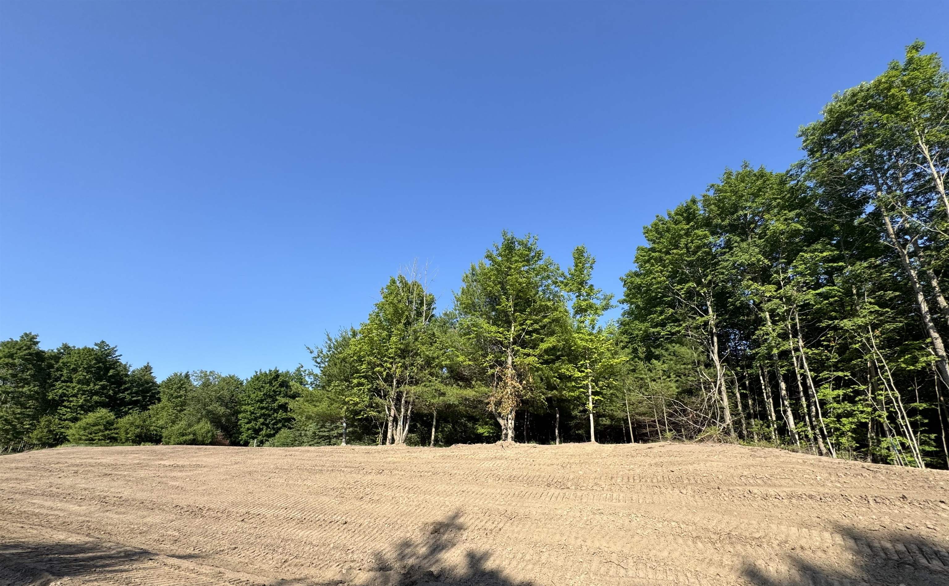 Lot #6 East Bellinger Road, Unit 6 BELLINGER ESTATES (FIN) Cedar, MI 49621 - Photo 26 of 34