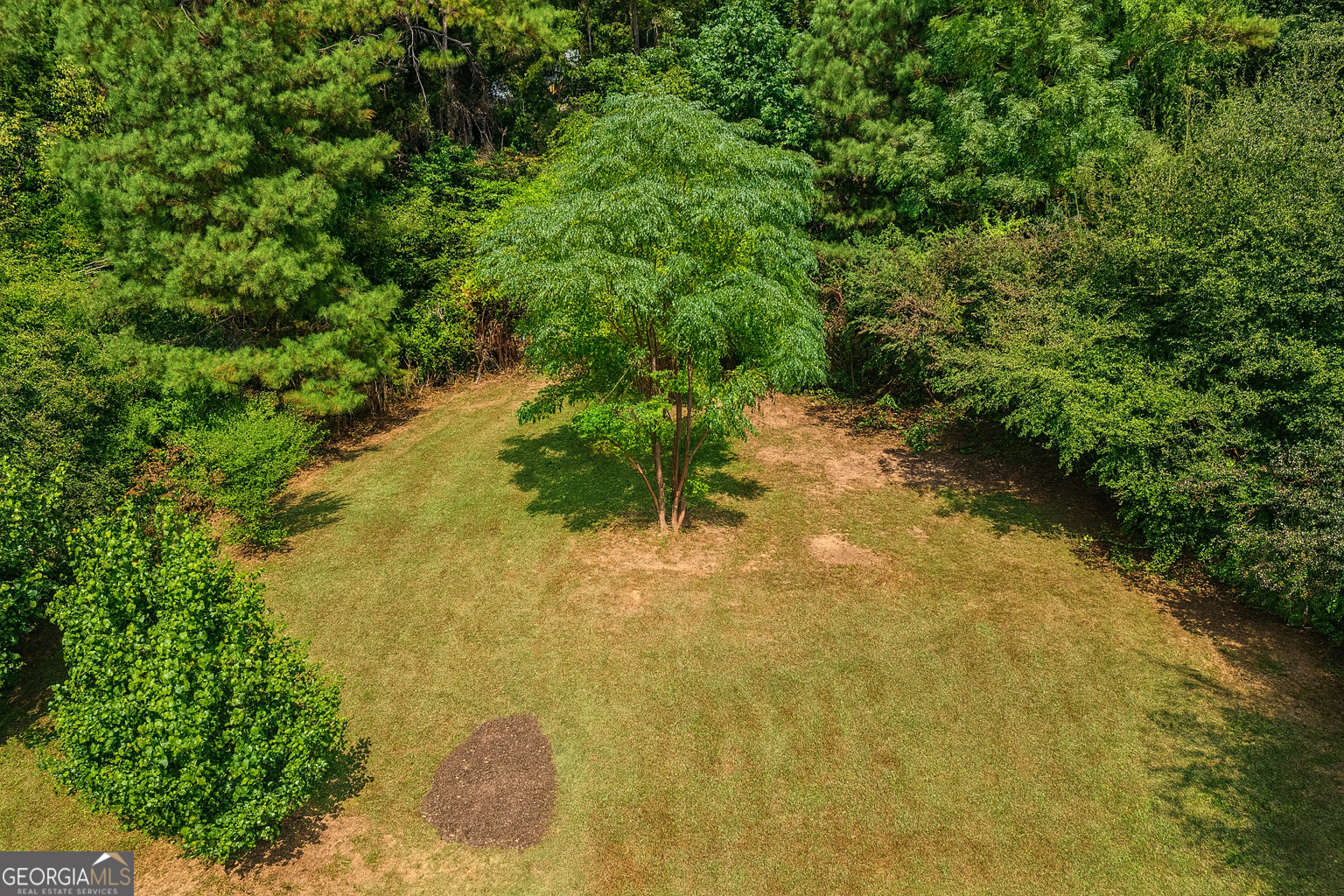 4214 Canby Lane Decatur, GA 30035 - Photo 4 of 14