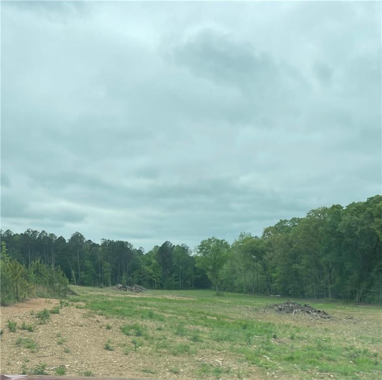 A Johnson Lake Road, Unit 0A Cedartown, GA 30125 - Photo 19 of 19 a view of a field of grass and trees