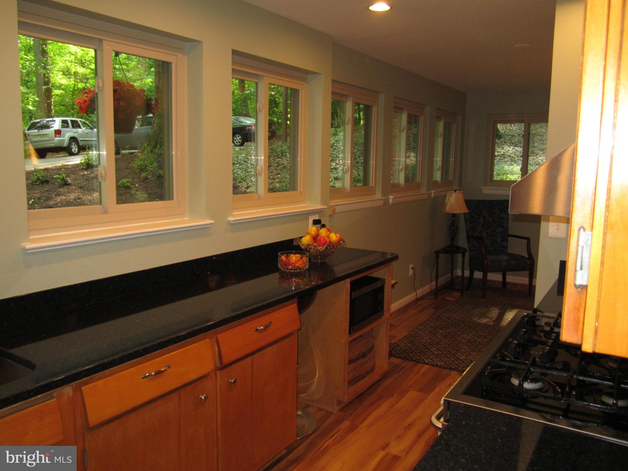 11600 Stephen Road Silver Spring, MD 20904 - Photo 11 of 29 Kitchen