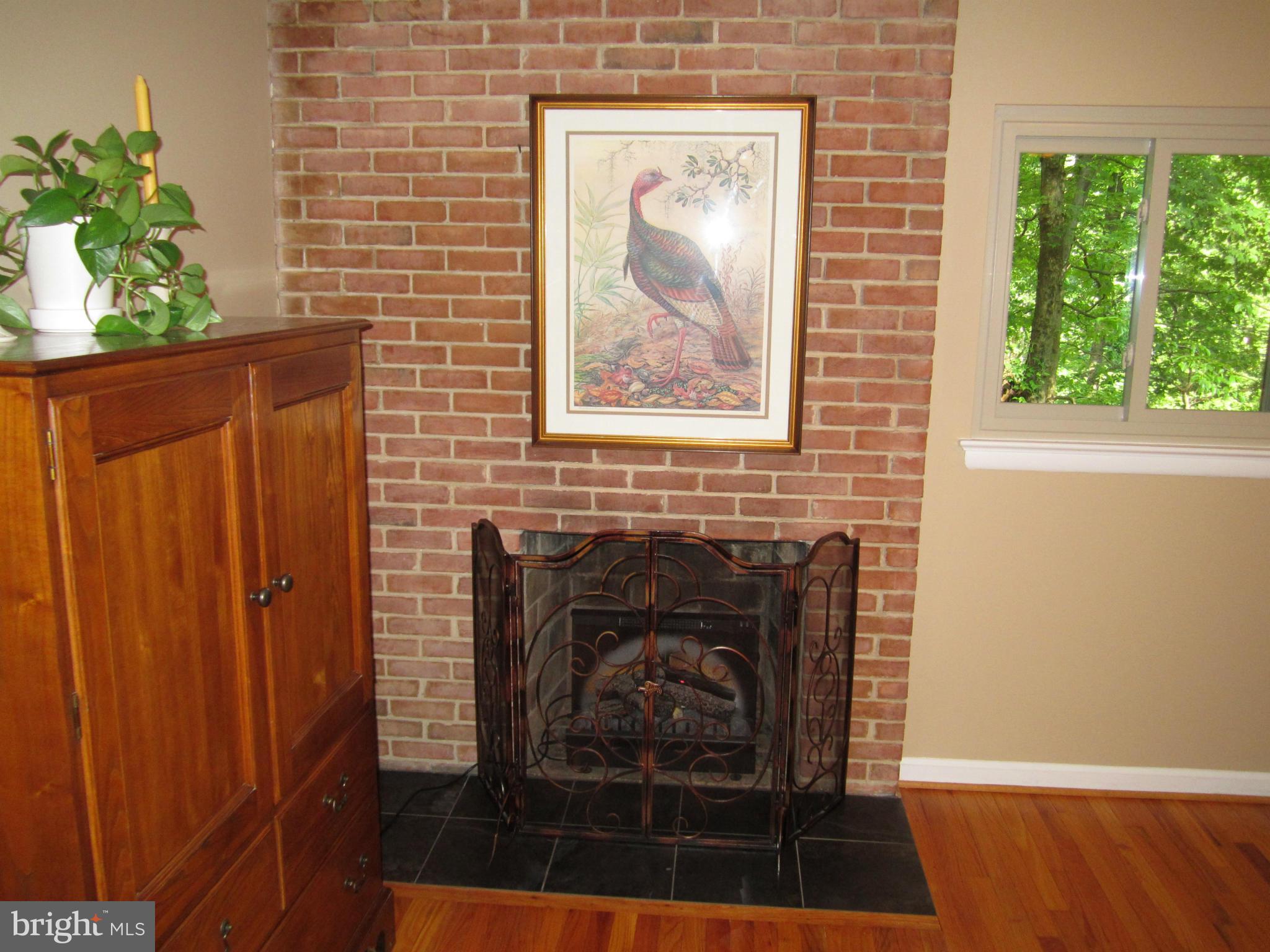 11600 Stephen Road Silver Spring, MD 20904 - Photo 19 of 29 with Fireplace