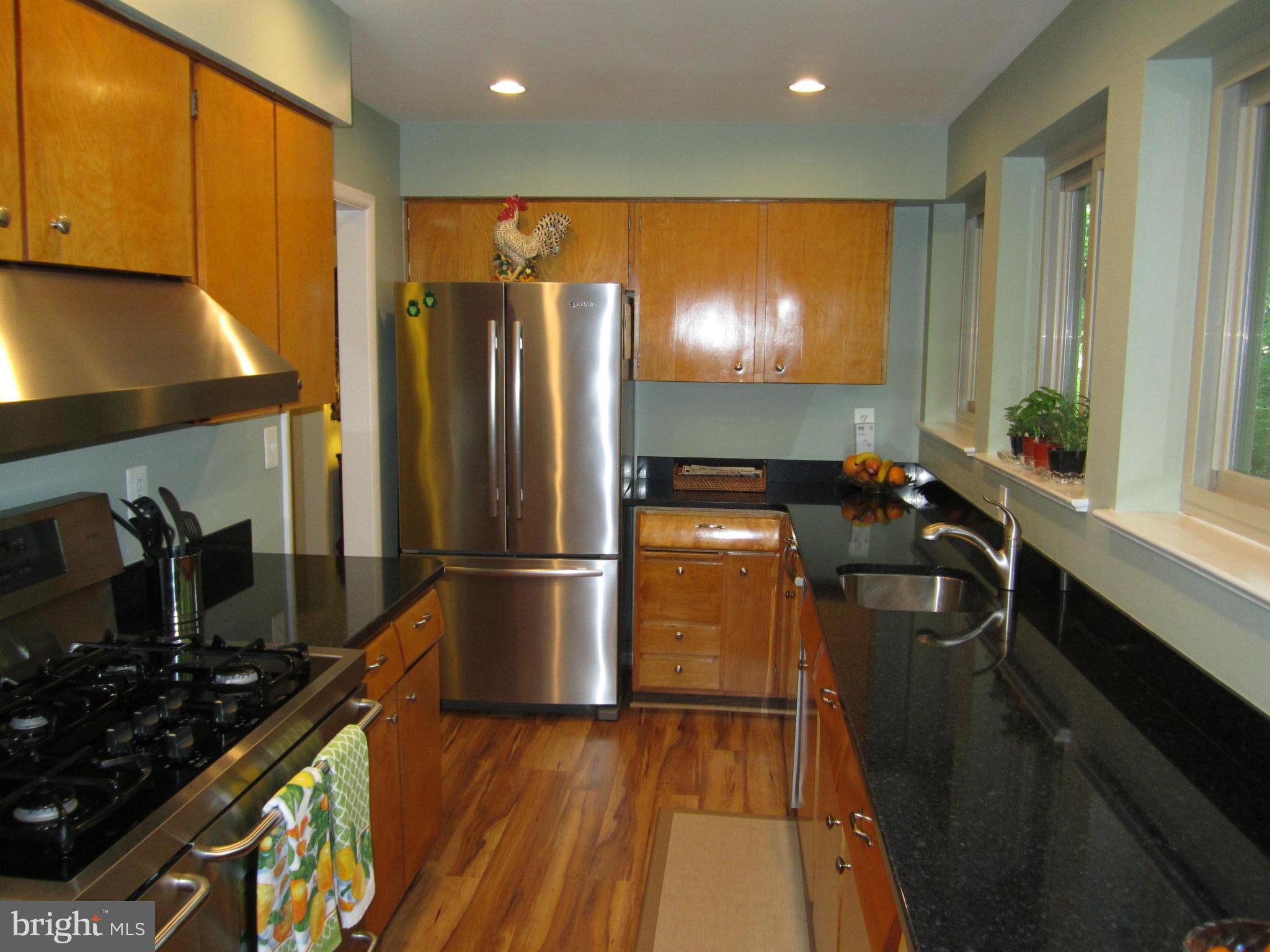 11600 Stephen Road Silver Spring, MD 20904 - Photo 9 of 29 Silestone Counters