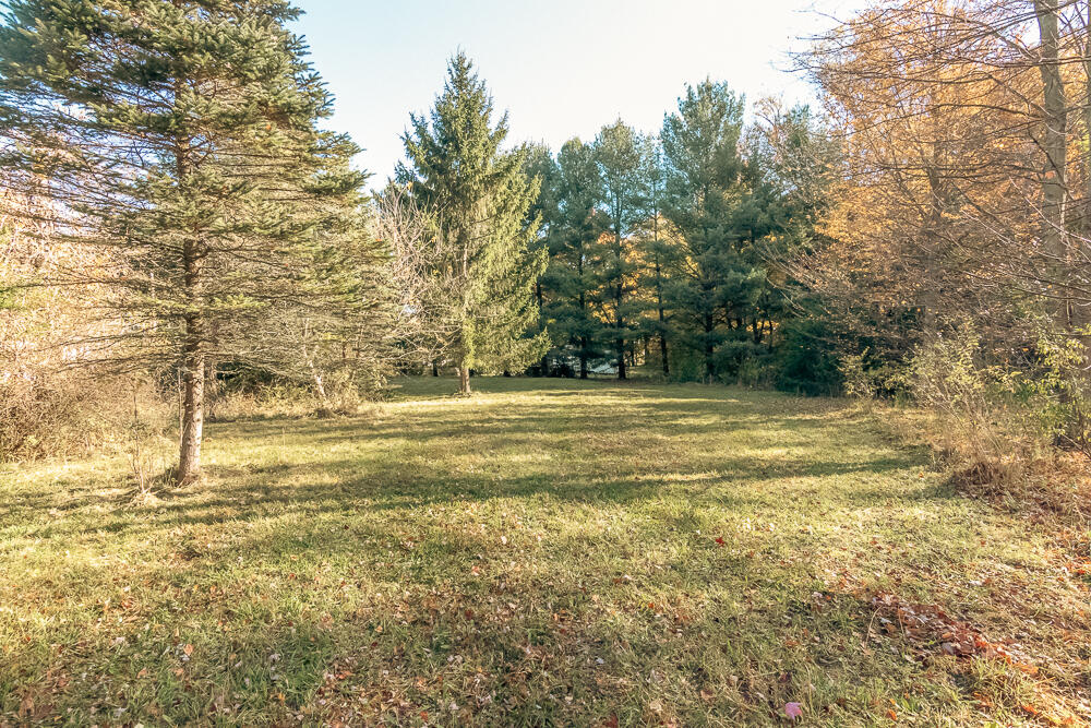 47579 Highway 51 Decatur, MI 49045 - Photo 41 of 46 Rear