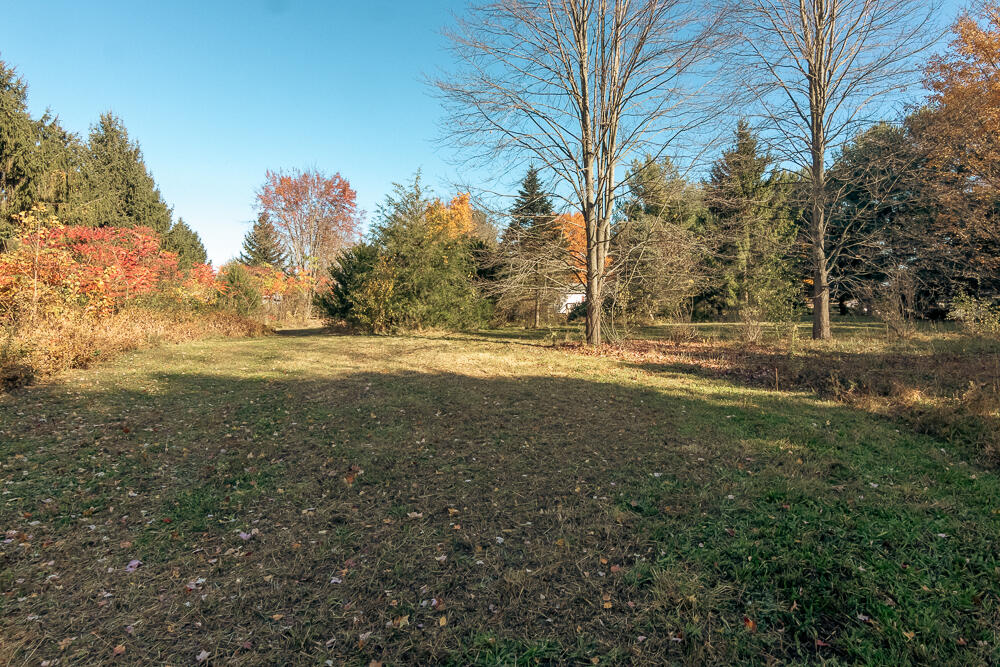 47579 Highway 51 Decatur, MI 49045 - Photo 42 of 46 Rear a