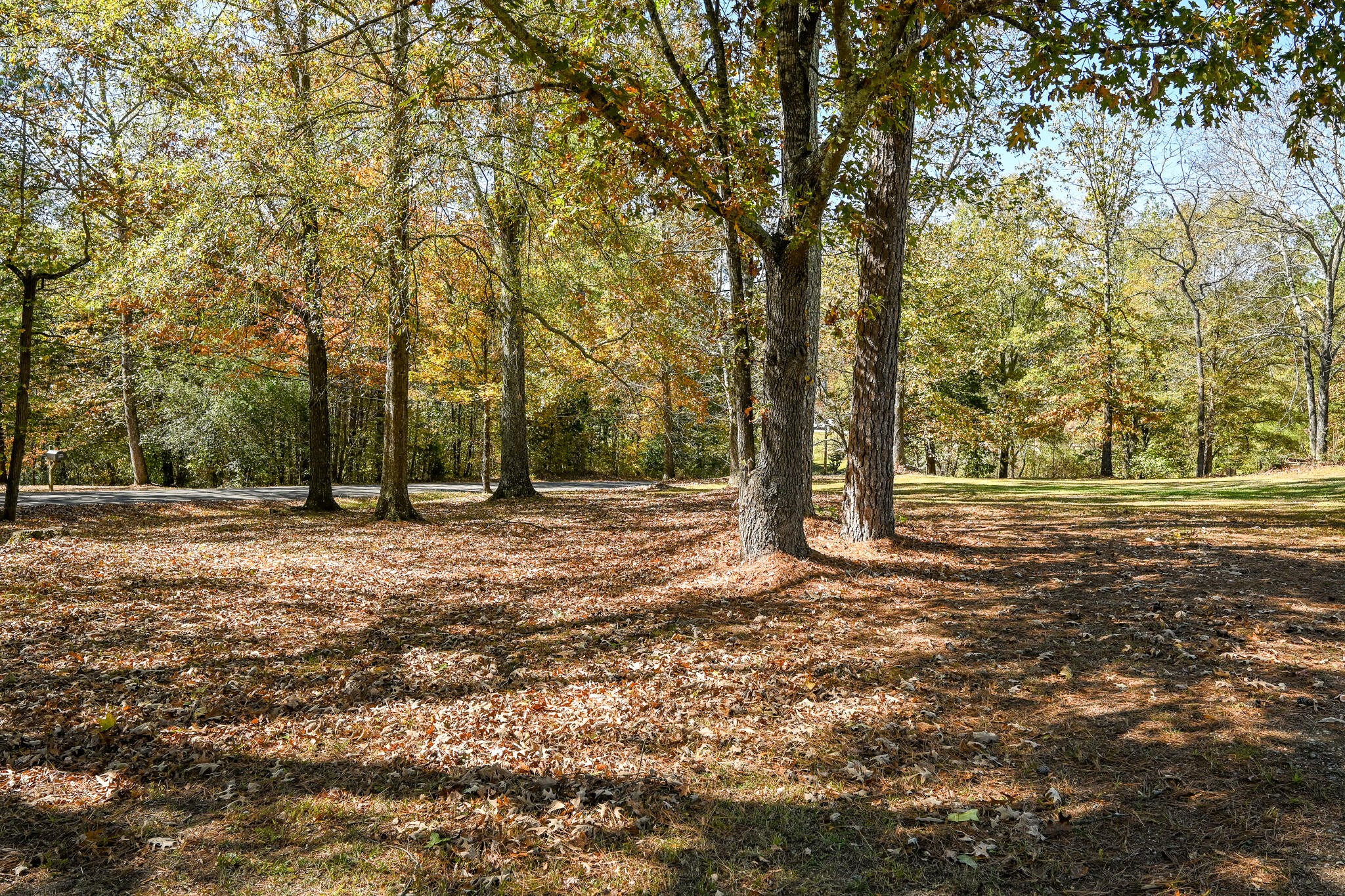 4845 Wilson Drive Cleveland, TN 37312 - Photo 50 of 56