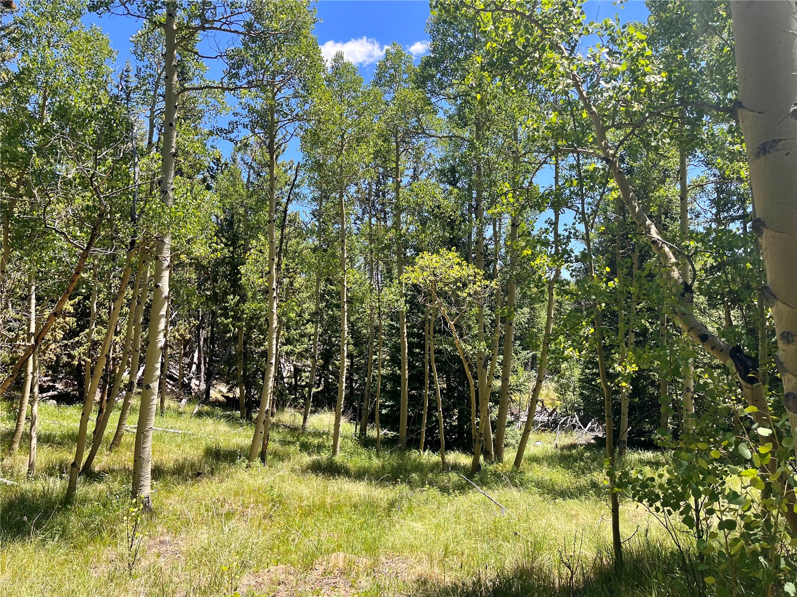 845 Adventure Road Alma, CO 80420 - Photo 23 of 31 Gallery Image 23