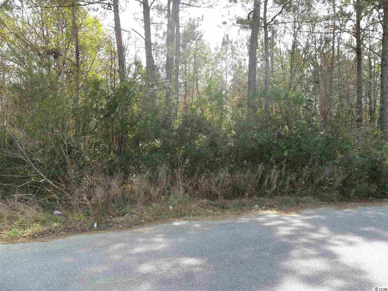 Mercer Avenue Georgetown, SC 29440 - Photo 4 of 7 Gallery Image 4