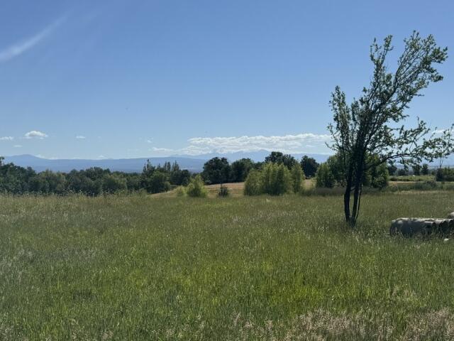 5227 Hopson Road Anderson, CA 96007 - Photo 13 of 19 a view of lake with green space