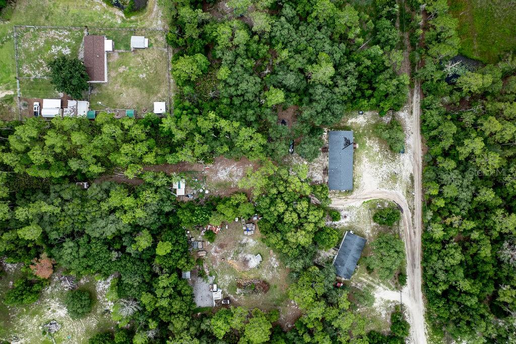 24821 Old Deer Road Paisley, FL 32767 - Photo 40 of 43