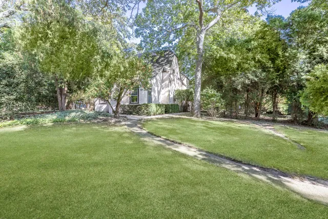 a view of a backyard with large trees