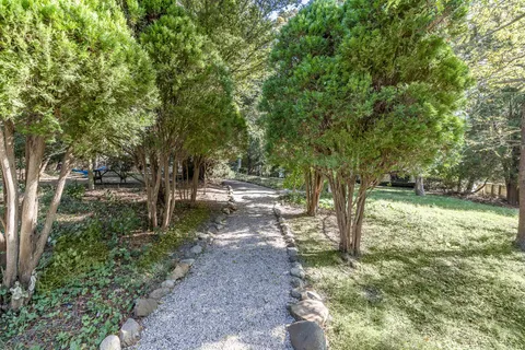 a view of a yard with tree s