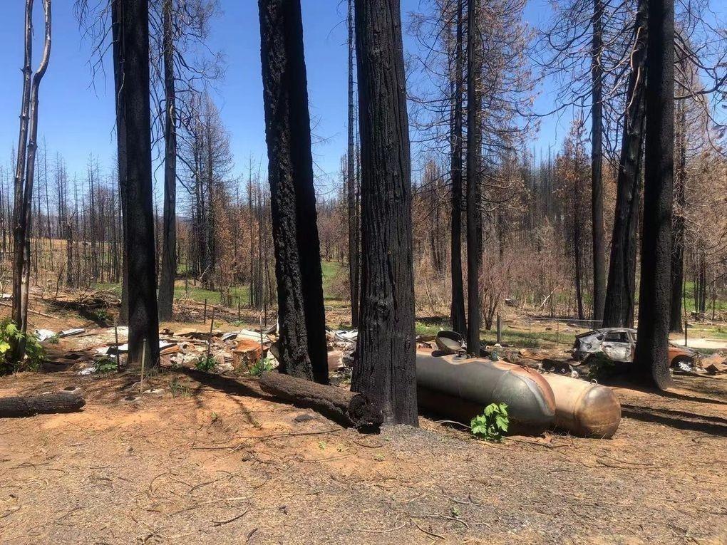 29 Sheltering Pines Road Berry Creek, CA 95916 - Photo 4 of 5 a view of tall buildings