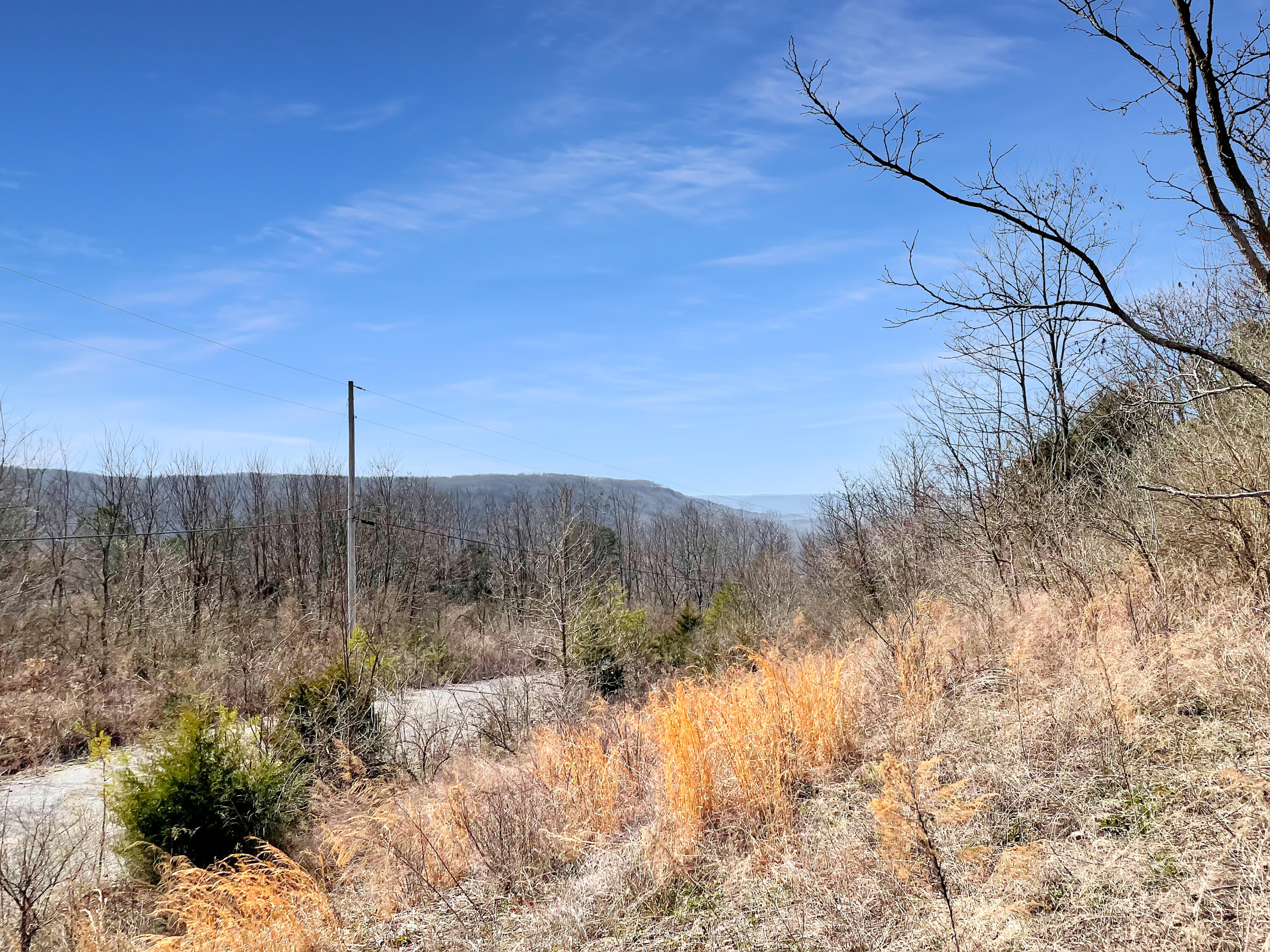 0 Teludachee Trail, Unit 166 Guild, TN 37340 - Photo 1 of 12 Lot 166