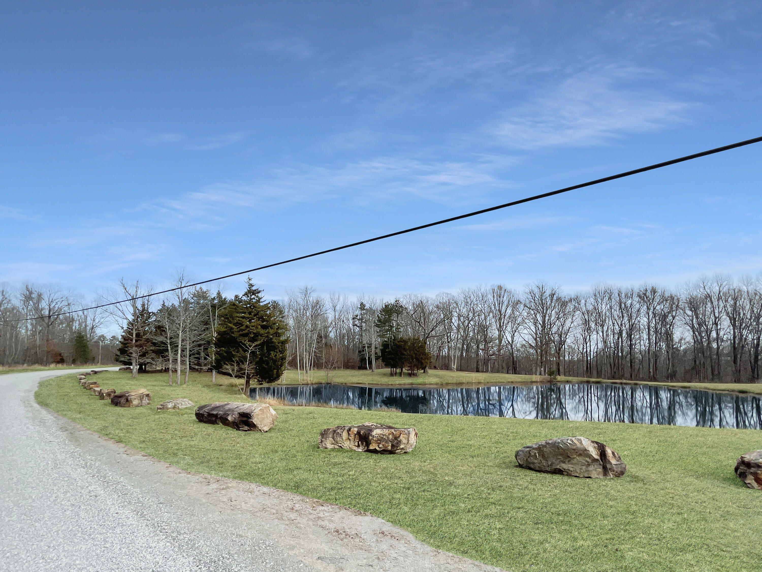 0 Teludachee Trail, Unit 166 Guild, TN 37340 - Photo 2 of 12 Community Pond