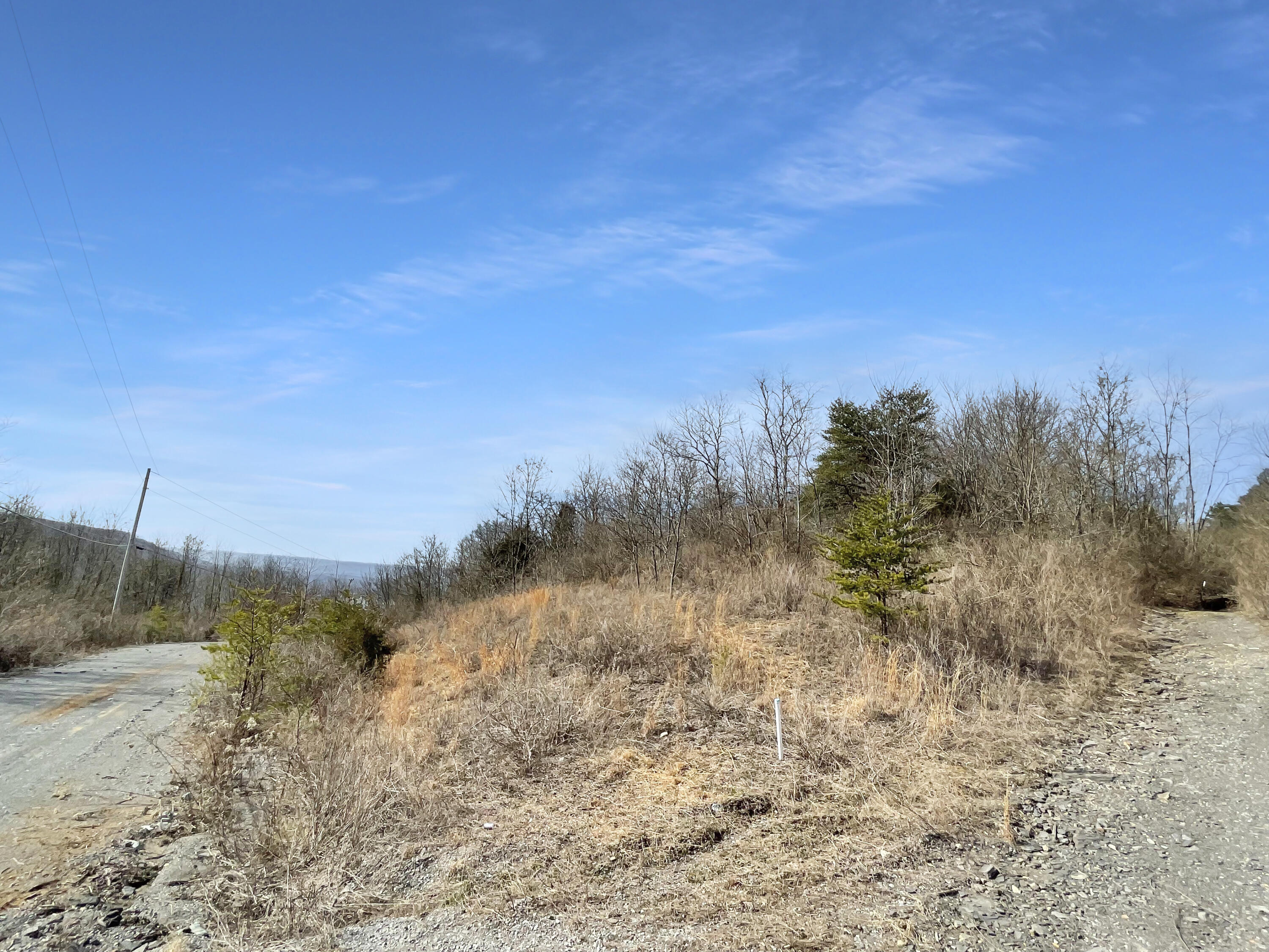 0 Teludachee Trail, Unit 166 Guild, TN 37340 - Photo 3 of 12 Lot 166