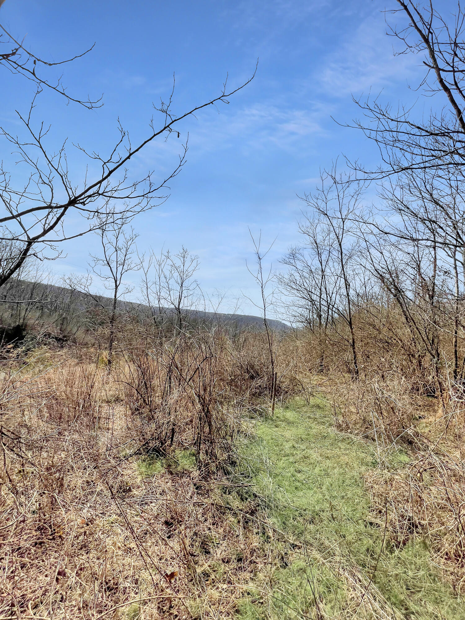 0 Teludachee Trail, Unit 166 Guild, TN 37340 - Photo 4 of 12 Lot 166