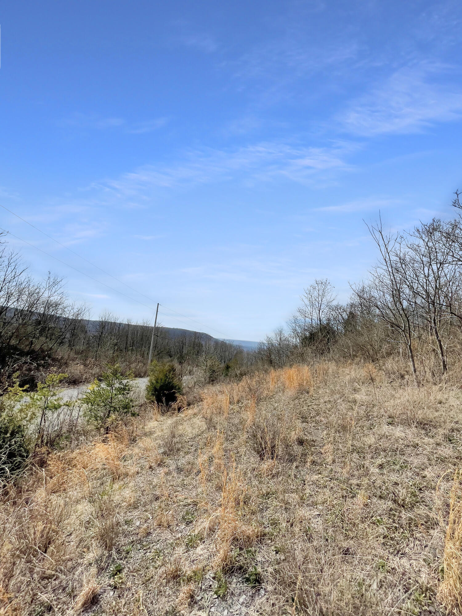 0 Teludachee Trail, Unit 166 Guild, TN 37340 - Photo 5 of 12 Lot 166