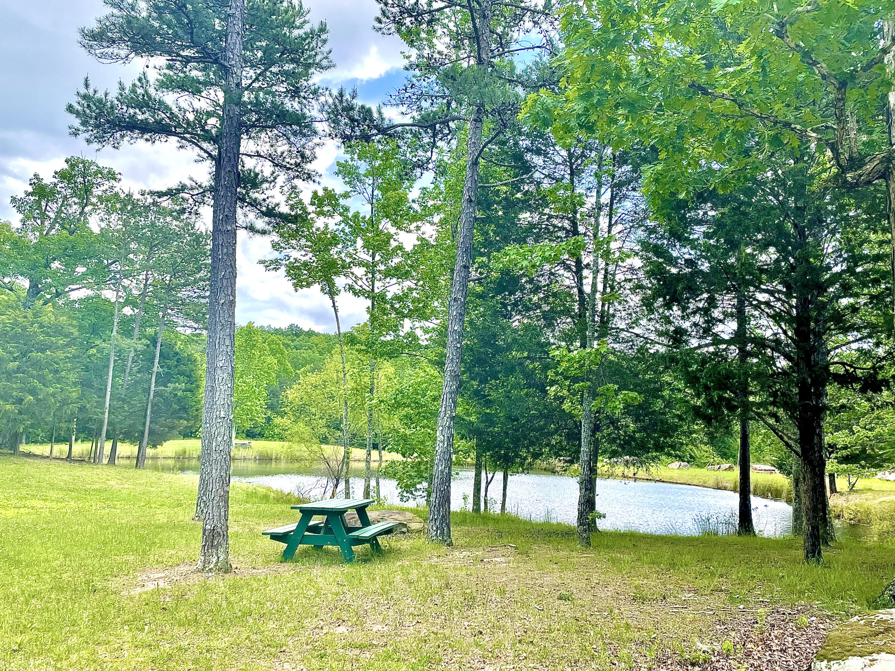 0 Teludachee Trail, Unit 166 Guild, TN 37340 - Photo 6 of 12 Community Pond