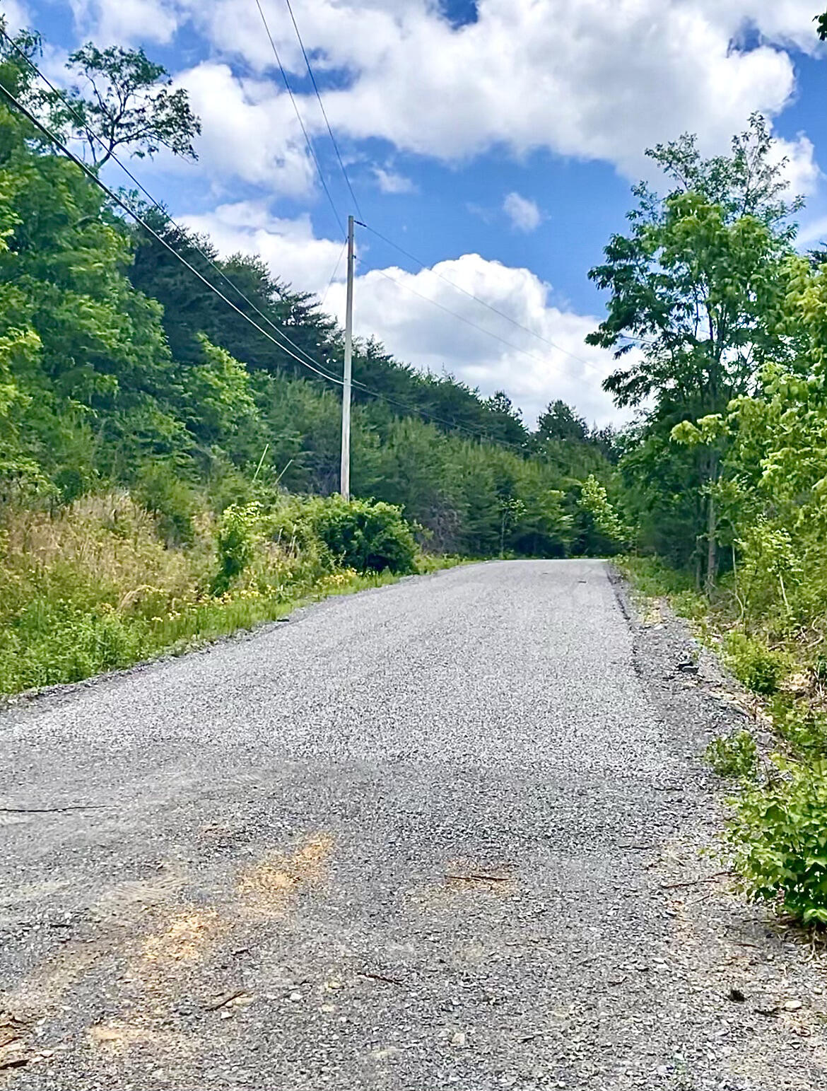 0 Teludachee Trail, Unit 166 Guild, TN 37340 - Photo 7 of 12 NEW paved road