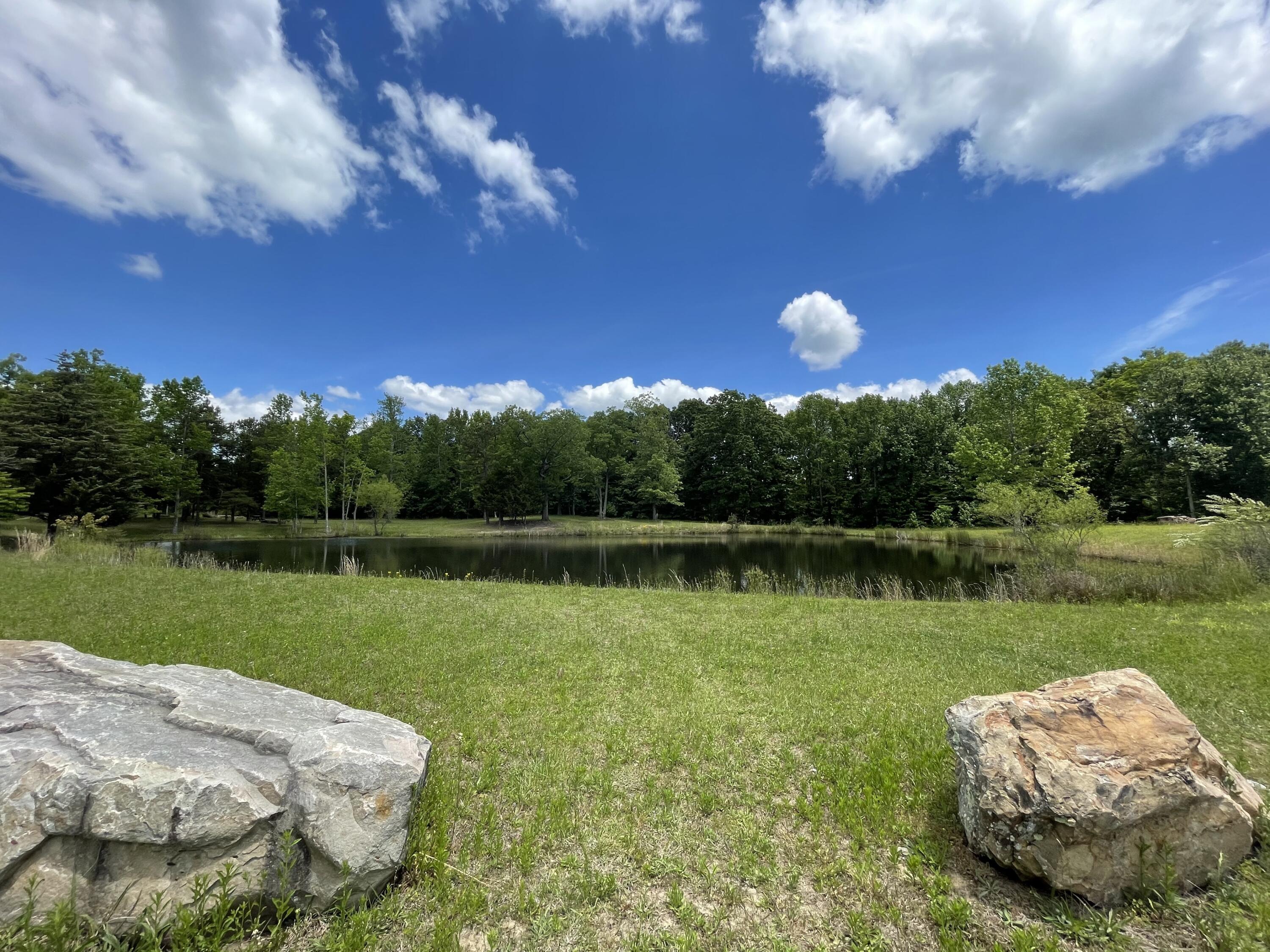 0 Teludachee Trail, Unit 166 Guild, TN 37340 - Photo 8 of 12 Community Pond