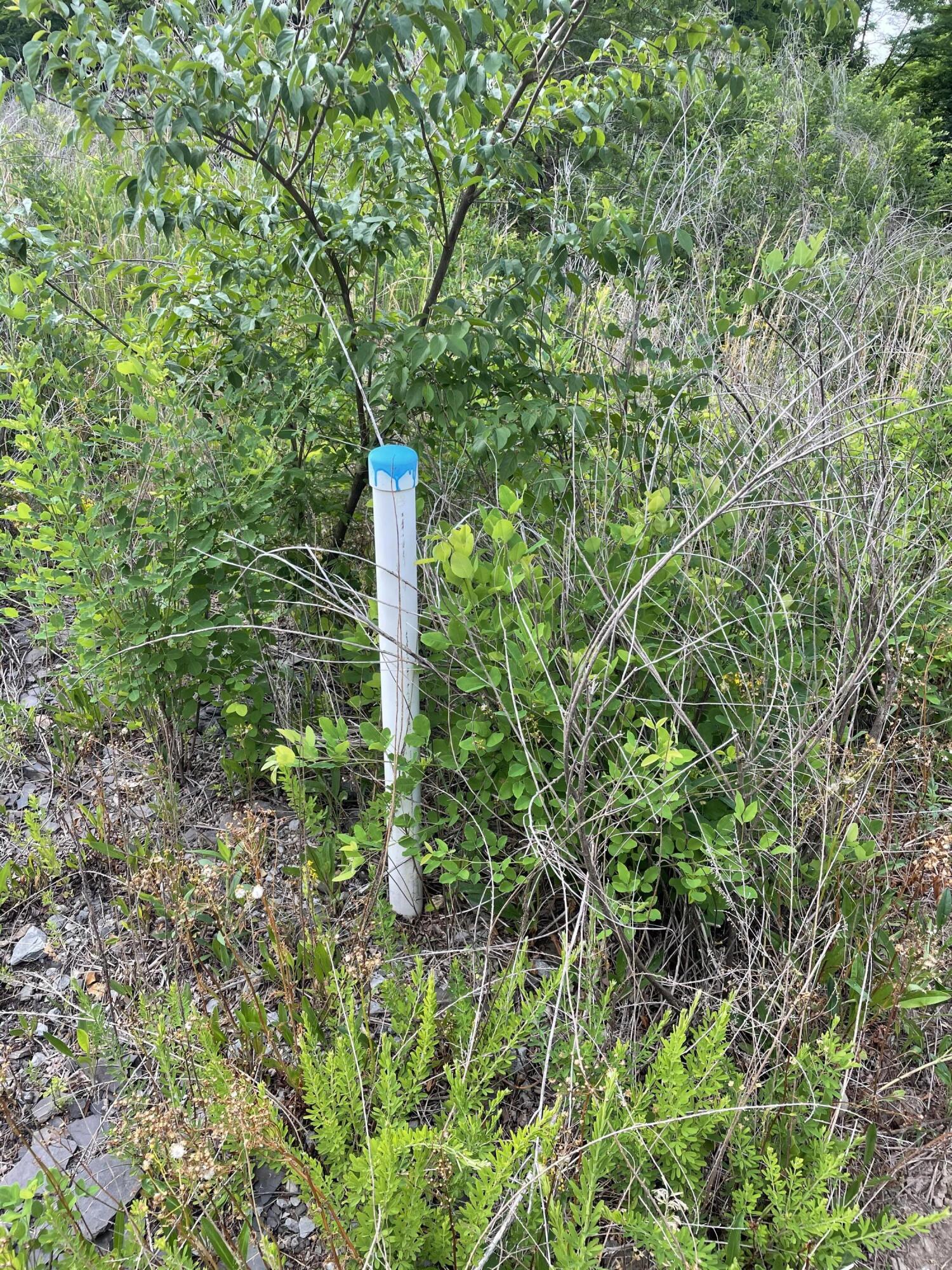 0 Teludachee Trail, Unit 166 Guild, TN 37340 - Photo 9 of 12 Septic Line in Place