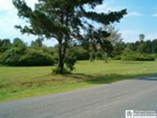 Wilbur Road Dunkirk, NY 14048 - Photo 1 of 1 Gallery Image 1