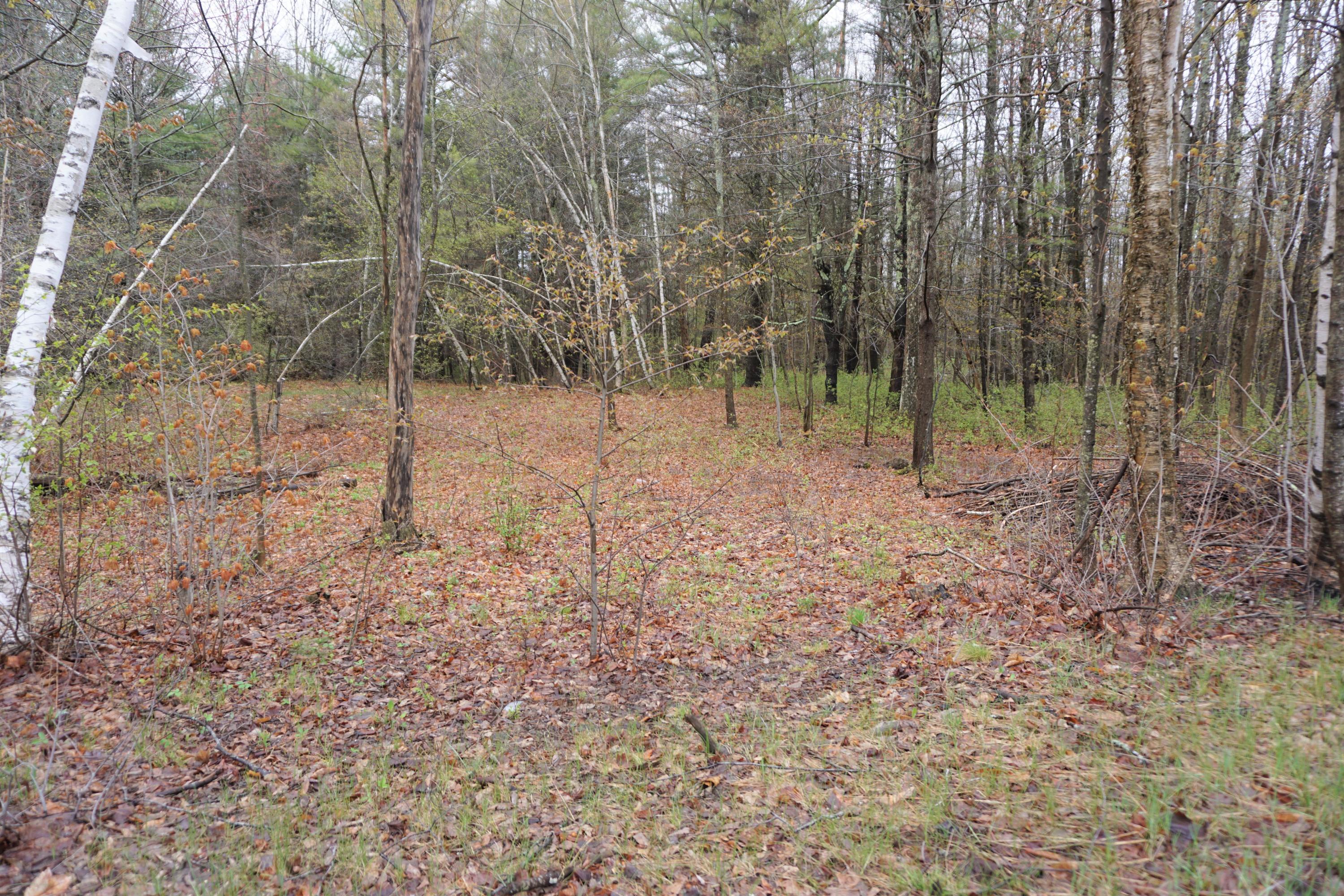 Tbd Litchfield Road Bowdoin, ME 04287 - Photo 10 of 15 8