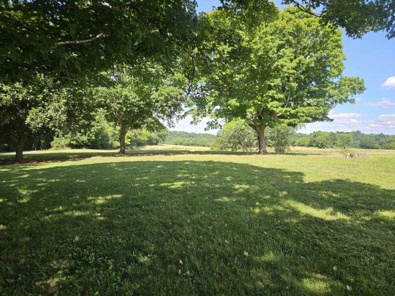 1699 Hoopers Hollow Road Adams, TN 37010 - Photo 8 of 24