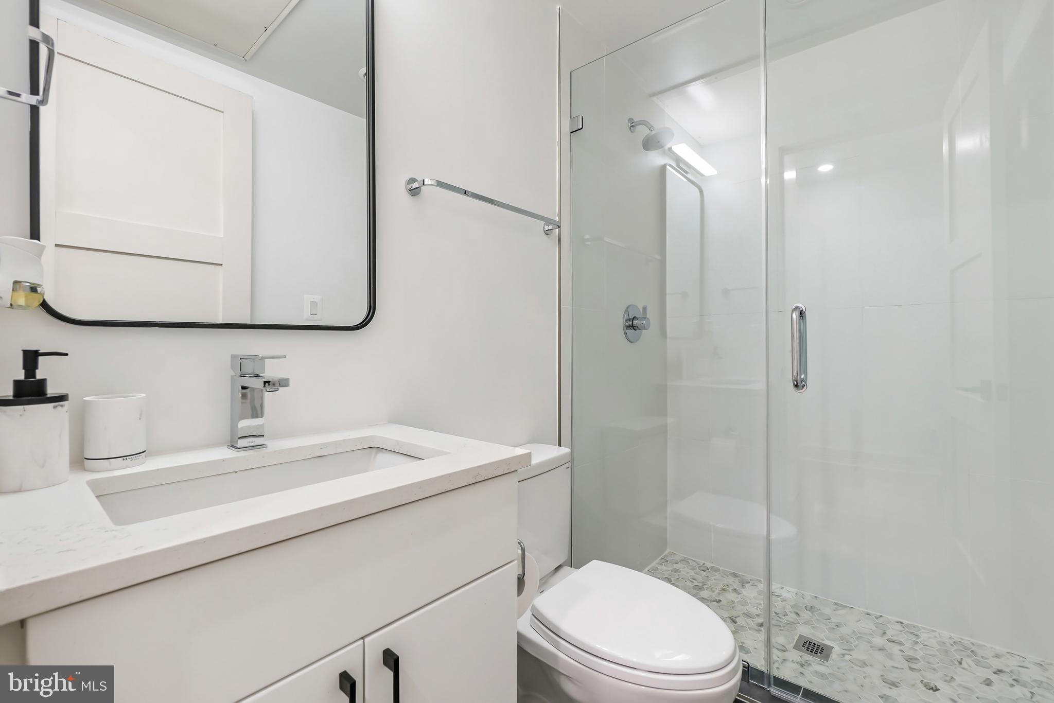 256 15th Street Southeast, Unit 1 Washington, DC 20003 - Photo 9 of 12