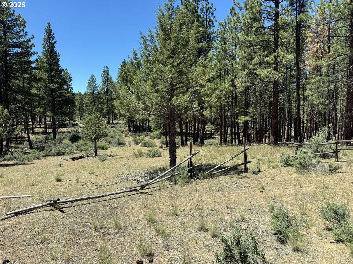 15651 Marcee Way Chiloquin, OR 97624 - Photo 2 of 47